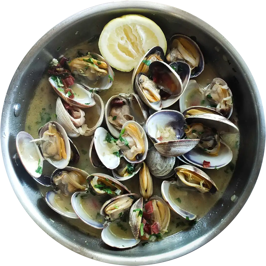 Mussels